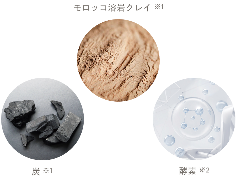 炭、モロッコ溶解クレイ、酵素